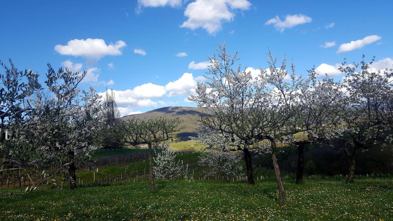 Casaroman San Floriano del Cóllio Buitenkant foto