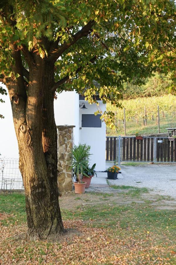 Casaroman San Floriano del Cóllio Buitenkant foto