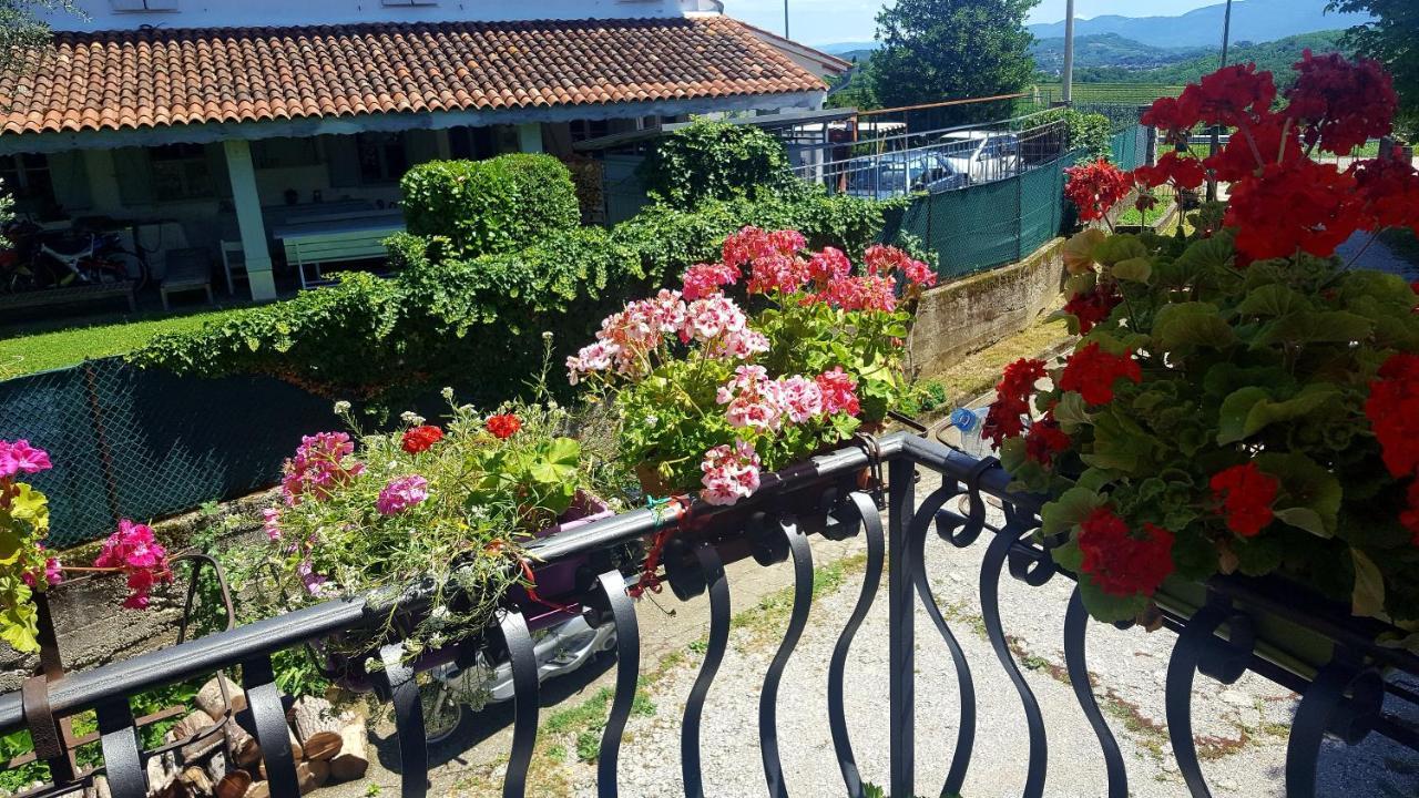 Casaroman San Floriano del Cóllio Buitenkant foto